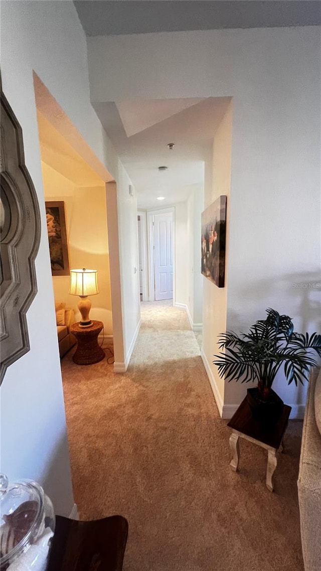 hallway with carpet flooring