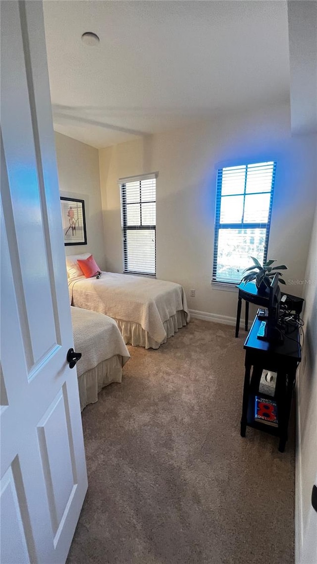 bedroom with carpet flooring and multiple windows