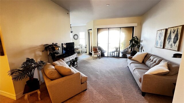 view of carpeted living room