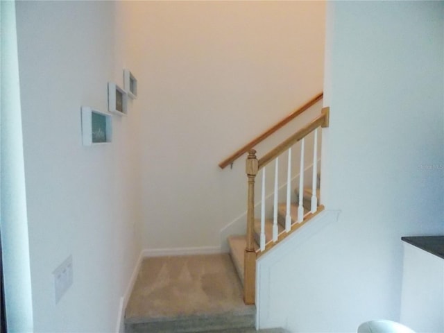 staircase featuring carpet flooring