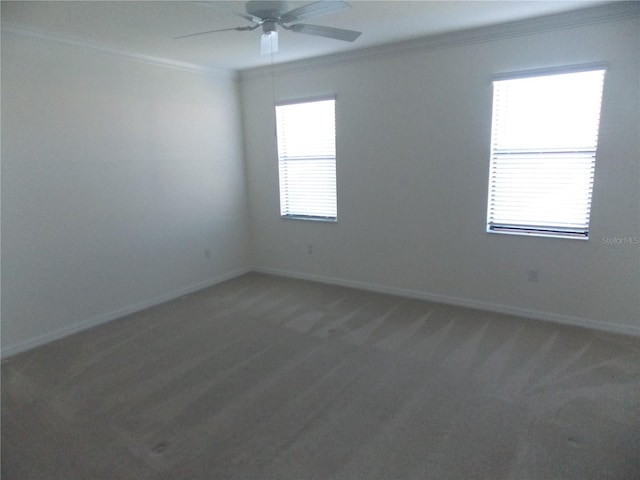 spare room with a wealth of natural light, ceiling fan, ornamental molding, and dark colored carpet