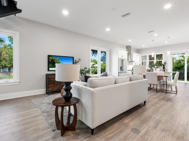 living room featuring light hardwood / wood-style floors and a healthy amount of sunlight