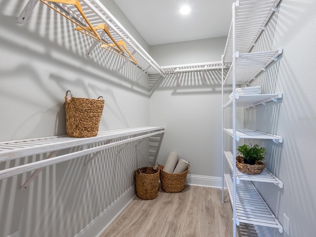 spacious closet with hardwood / wood-style floors