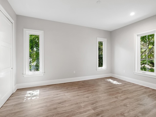 spare room featuring a wealth of natural light and light wood-type flooring