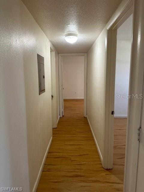 hallway featuring a textured ceiling, electric panel, and light wood-type flooring