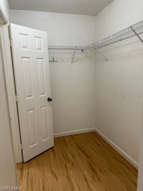 spacious closet with light wood-style flooring