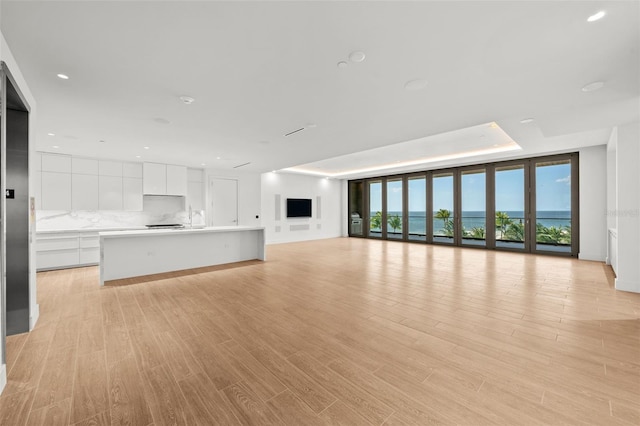 unfurnished living room featuring light hardwood / wood-style flooring, a raised ceiling, a healthy amount of sunlight, and sink