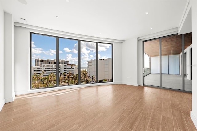 empty room featuring a wealth of natural light and light hardwood / wood-style floors