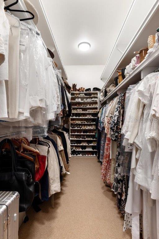 walk in closet with light colored carpet and radiator