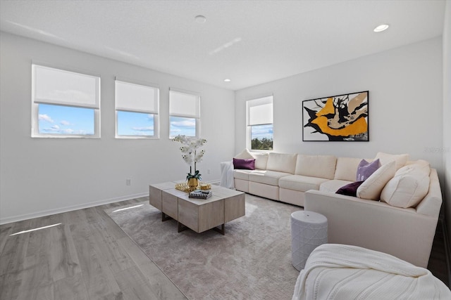 living room featuring light hardwood / wood-style flooring