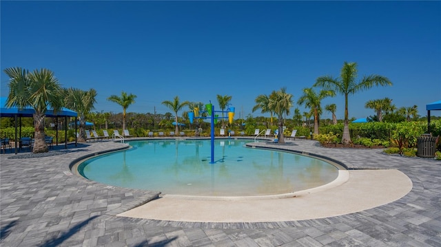 view of swimming pool with a patio