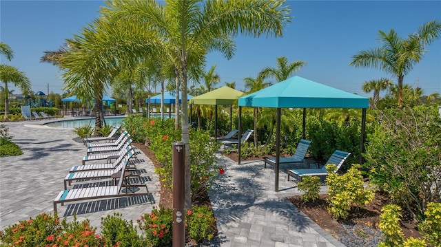 view of community with a patio and a pool