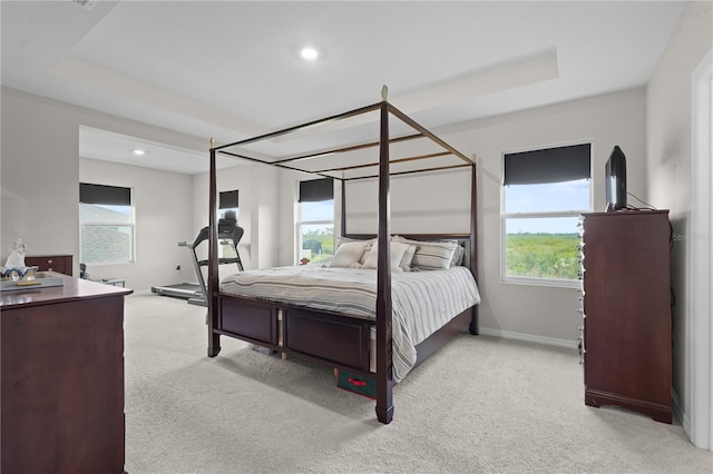 carpeted bedroom with a tray ceiling and multiple windows