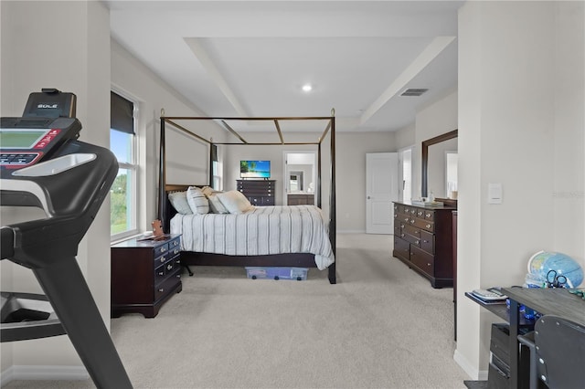 bedroom with baseboards, a raised ceiling, and light colored carpet