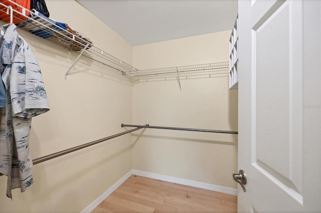 spacious closet with hardwood / wood-style floors