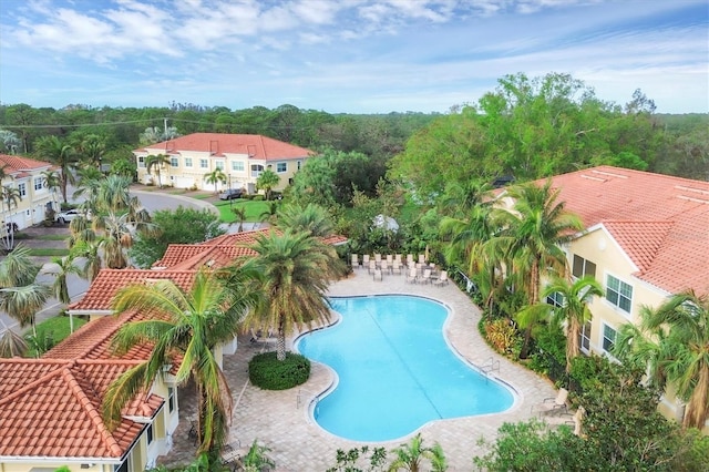 view of pool featuring a patio