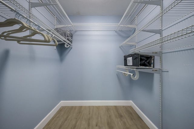 walk in closet featuring hardwood / wood-style flooring