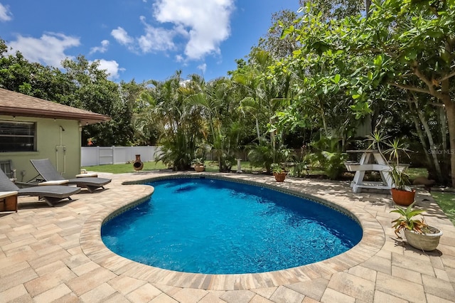 view of pool featuring a patio area