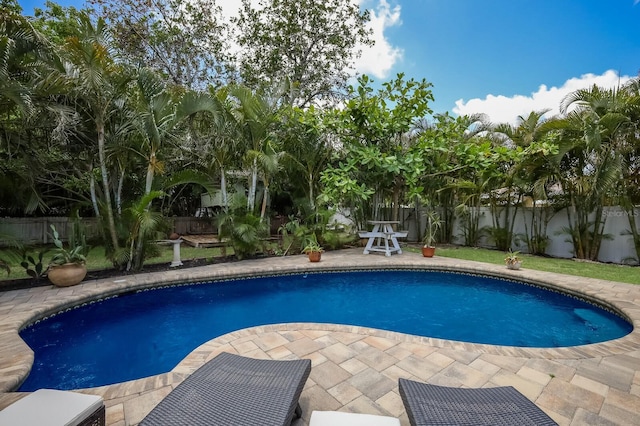 view of pool with a patio