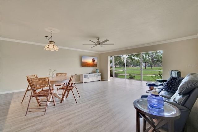 dining space featuring ceiling fan, light wood-type flooring, and ornamental molding