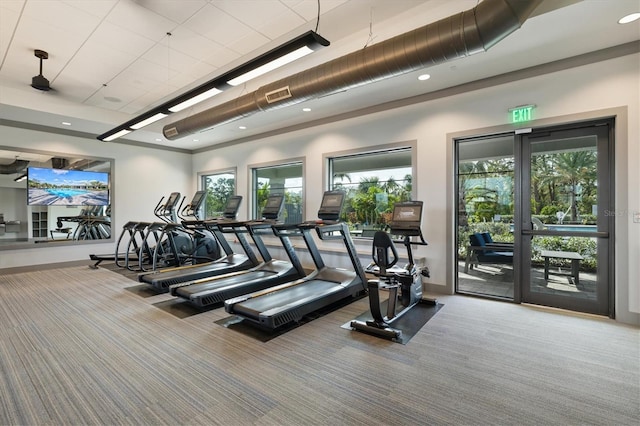 gym featuring a wealth of natural light and carpet