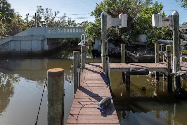 dock area with a water view