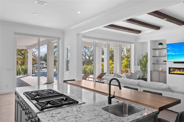 kitchen featuring a healthy amount of sunlight, sink, and light stone counters