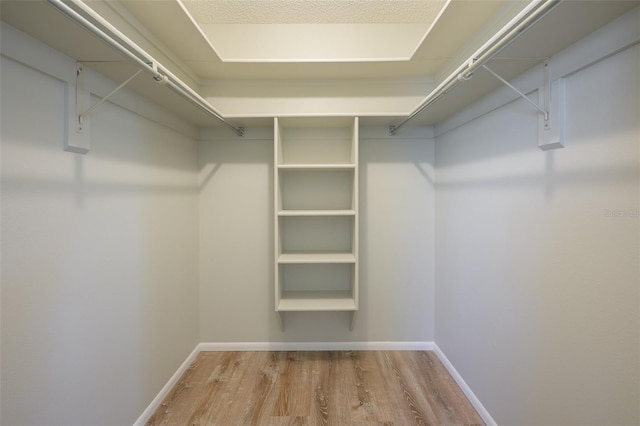 walk in closet featuring hardwood / wood-style flooring