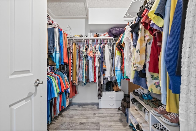 spacious closet featuring light hardwood / wood-style flooring