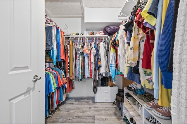 spacious closet featuring wood finished floors