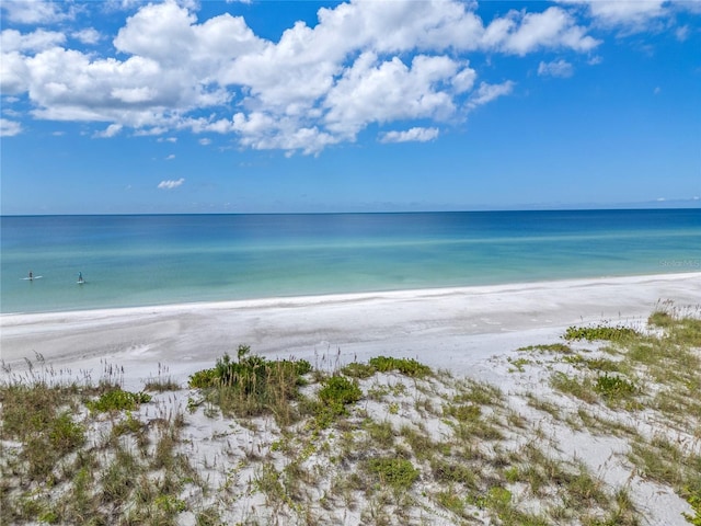 water view featuring a beach view