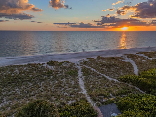 property view of water featuring a beach view