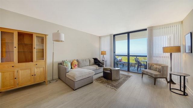 living room with expansive windows and light hardwood / wood-style floors