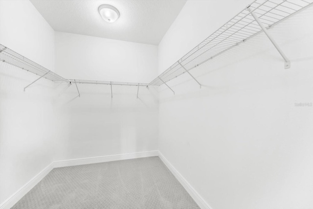 spacious closet featuring carpet flooring