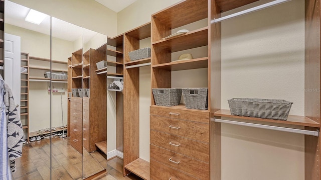 walk in closet with wood-type flooring