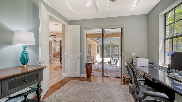 office featuring ceiling fan and light hardwood / wood-style flooring