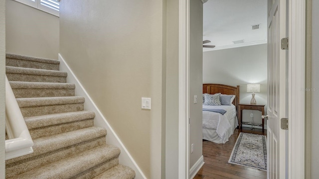 stairs with hardwood / wood-style flooring, crown molding, and ceiling fan