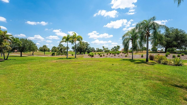 view of yard featuring a rural view