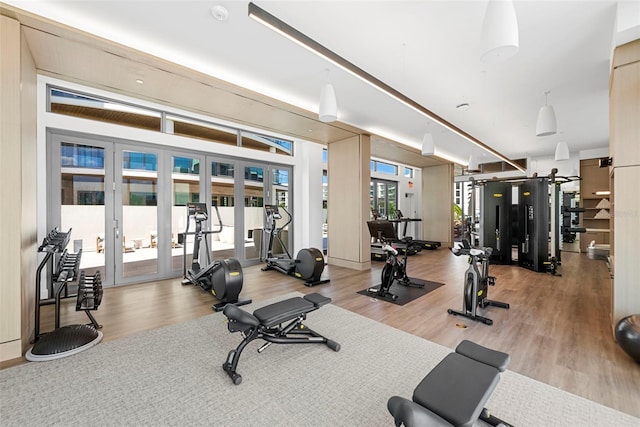 workout area with hardwood / wood-style floors and french doors