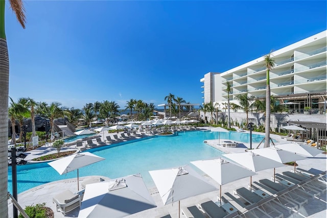 view of pool featuring a patio