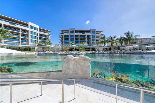 view of swimming pool