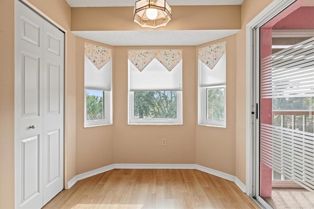 entryway featuring light wood-type flooring and a wealth of natural light