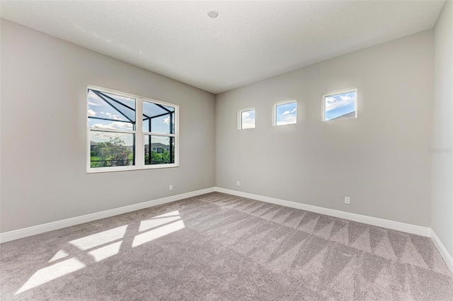 unfurnished room featuring a textured ceiling and carpet