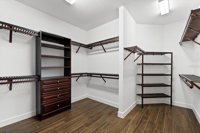 walk in closet featuring wood finish floors