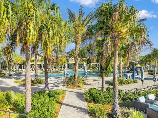 view of home's community with a pool