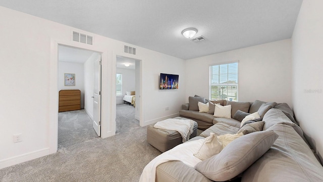 living room with light colored carpet and a textured ceiling