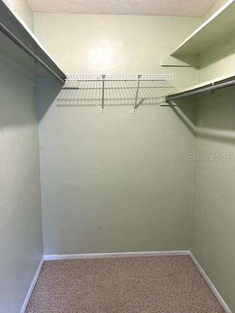 3751 S School Ave Unit 29, Sarasota, FL 34239 - walk in closet featuring carpet floors