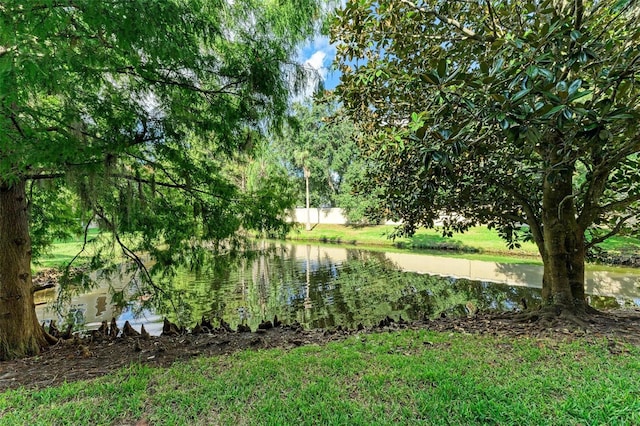 view of yard with a water view