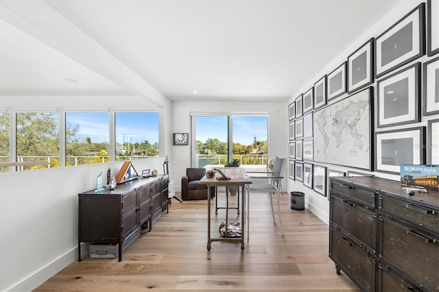 home office featuring light hardwood / wood-style flooring and plenty of natural light