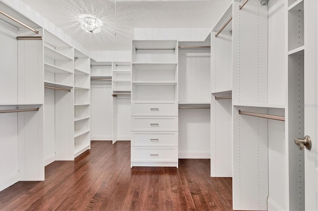 walk in closet with dark wood-type flooring